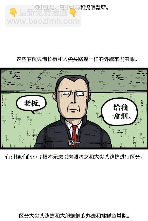 🍲最快更新的心灵的声音 [第903话] 神秘动物综述3 第14页