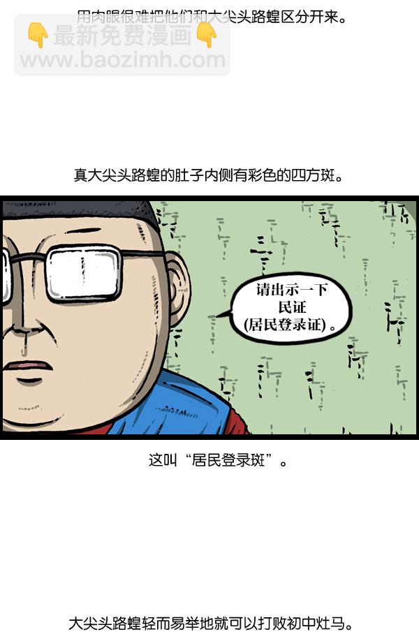 🍲最快更新的心灵的声音 [第903话] 神秘动物综述3 第16页