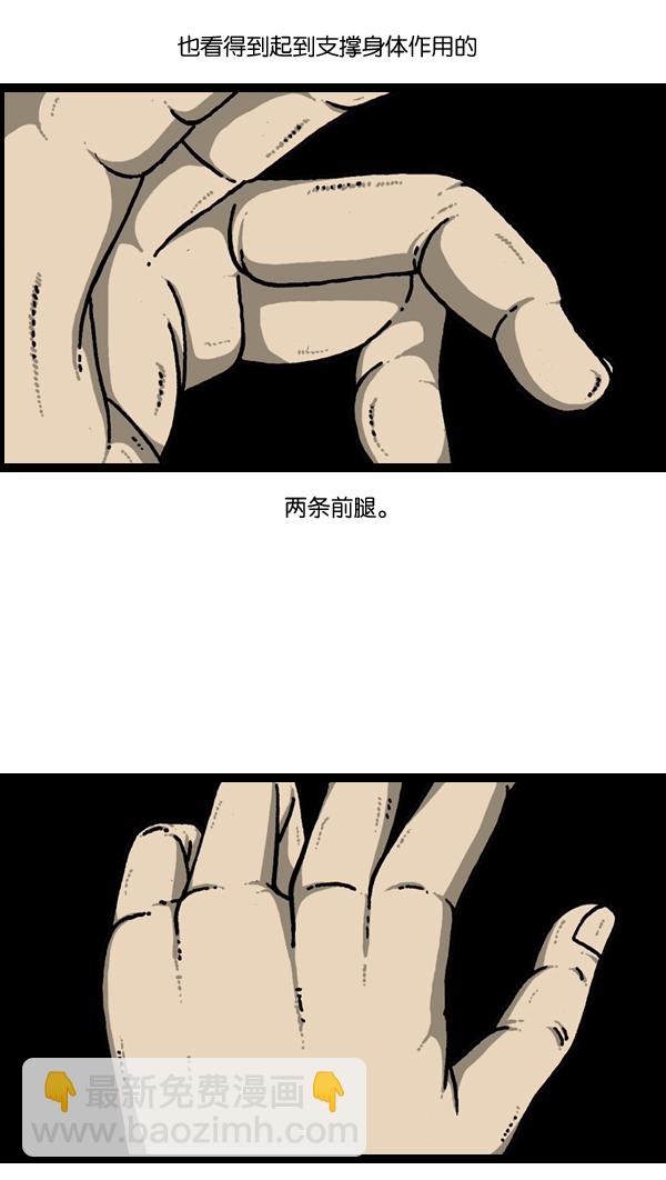 🍲最快更新的心灵的声音 [第903话] 神秘动物综述3 第2页