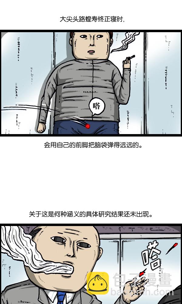 🍲最快更新的心灵的声音 [第903话] 神秘动物综述3 第29页