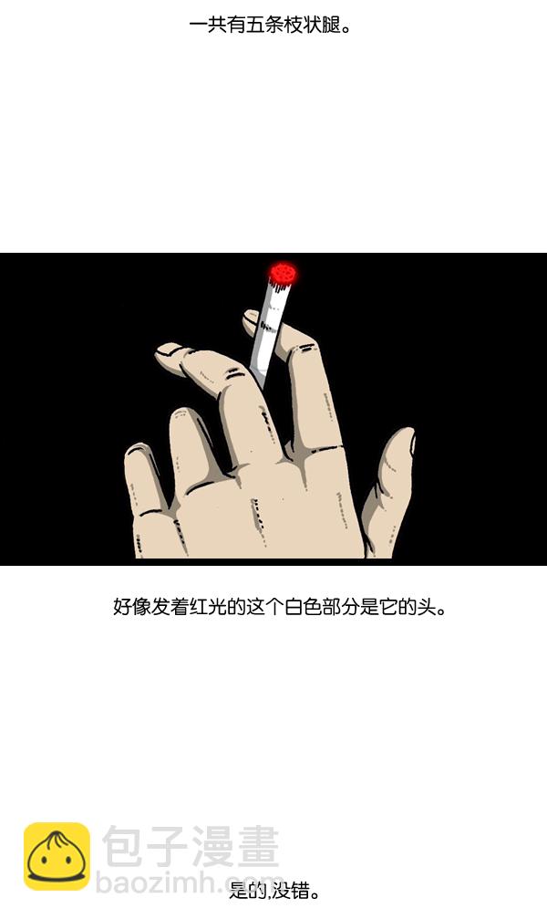 🍲最快更新的心灵的声音 [第903话] 神秘动物综述3 第3页