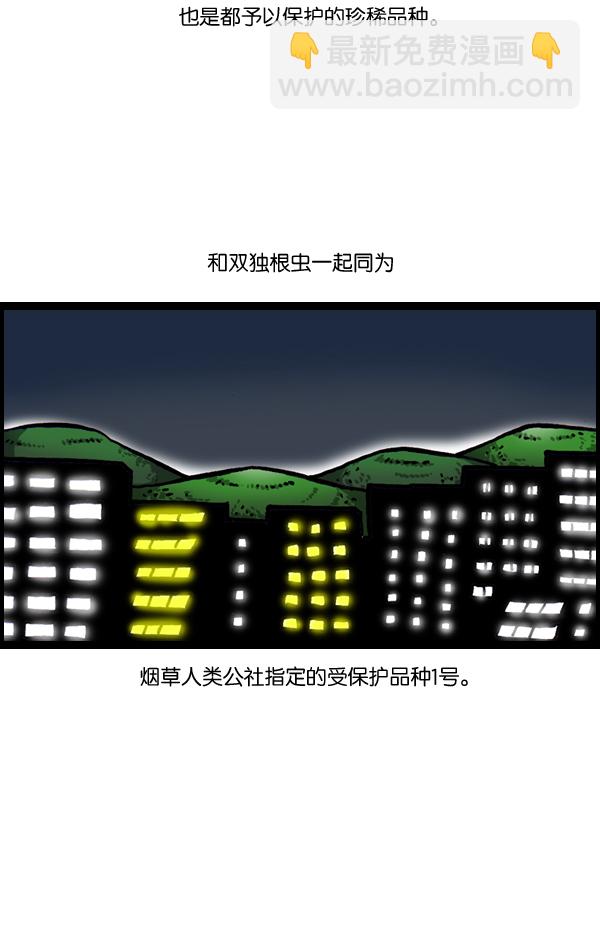 🍲最快更新的心灵的声音 [第903话] 神秘动物综述3 第40页