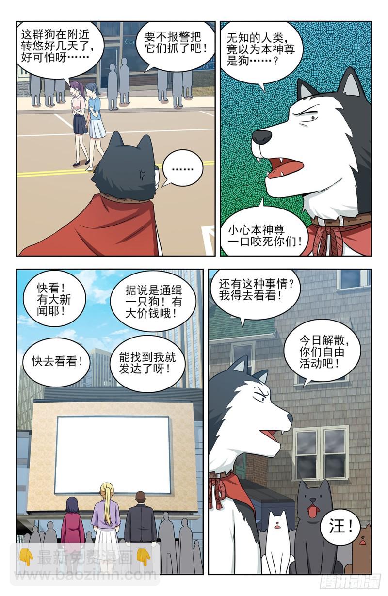 🍲最强反套路系统 309前往昆仑 第9页
