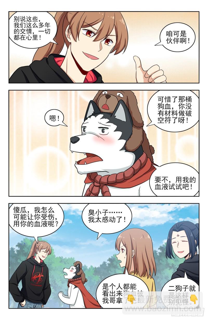 🍲最强反套路系统 317投鞋问路 第7页