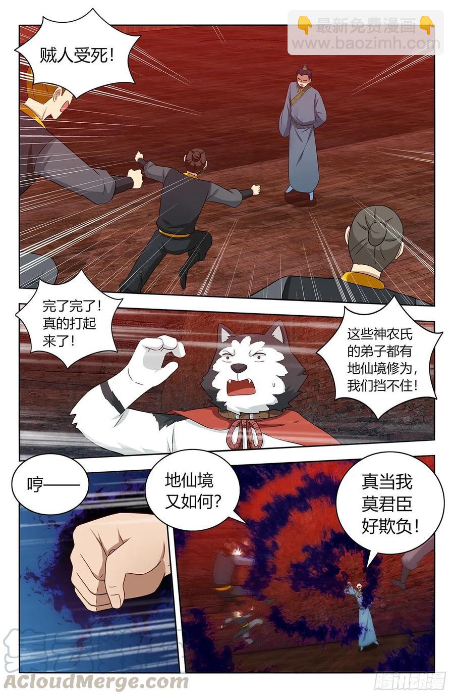 🍲最强反套路系统 447传功 第12页