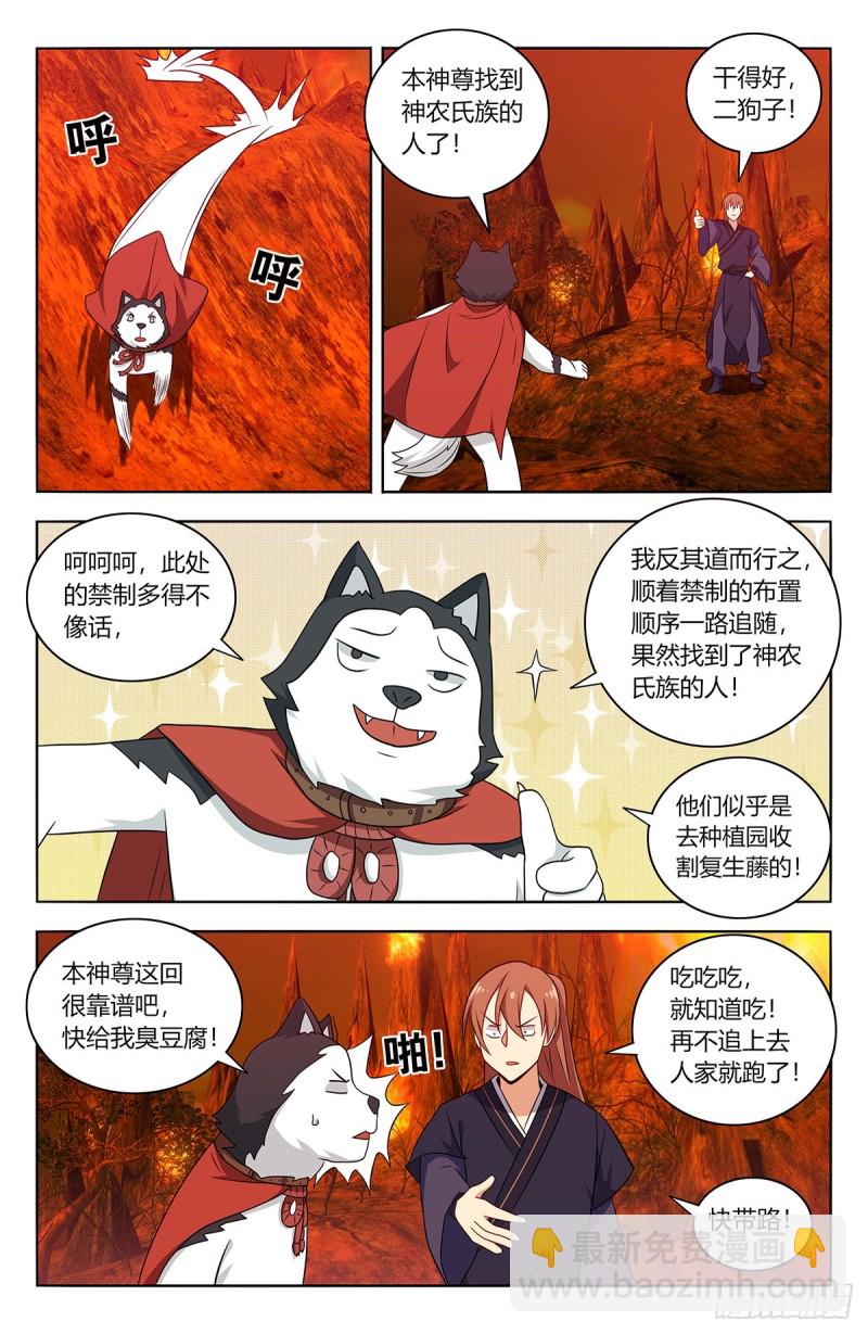 🍲最强反套路系统 461你是在玩火！ 第2页