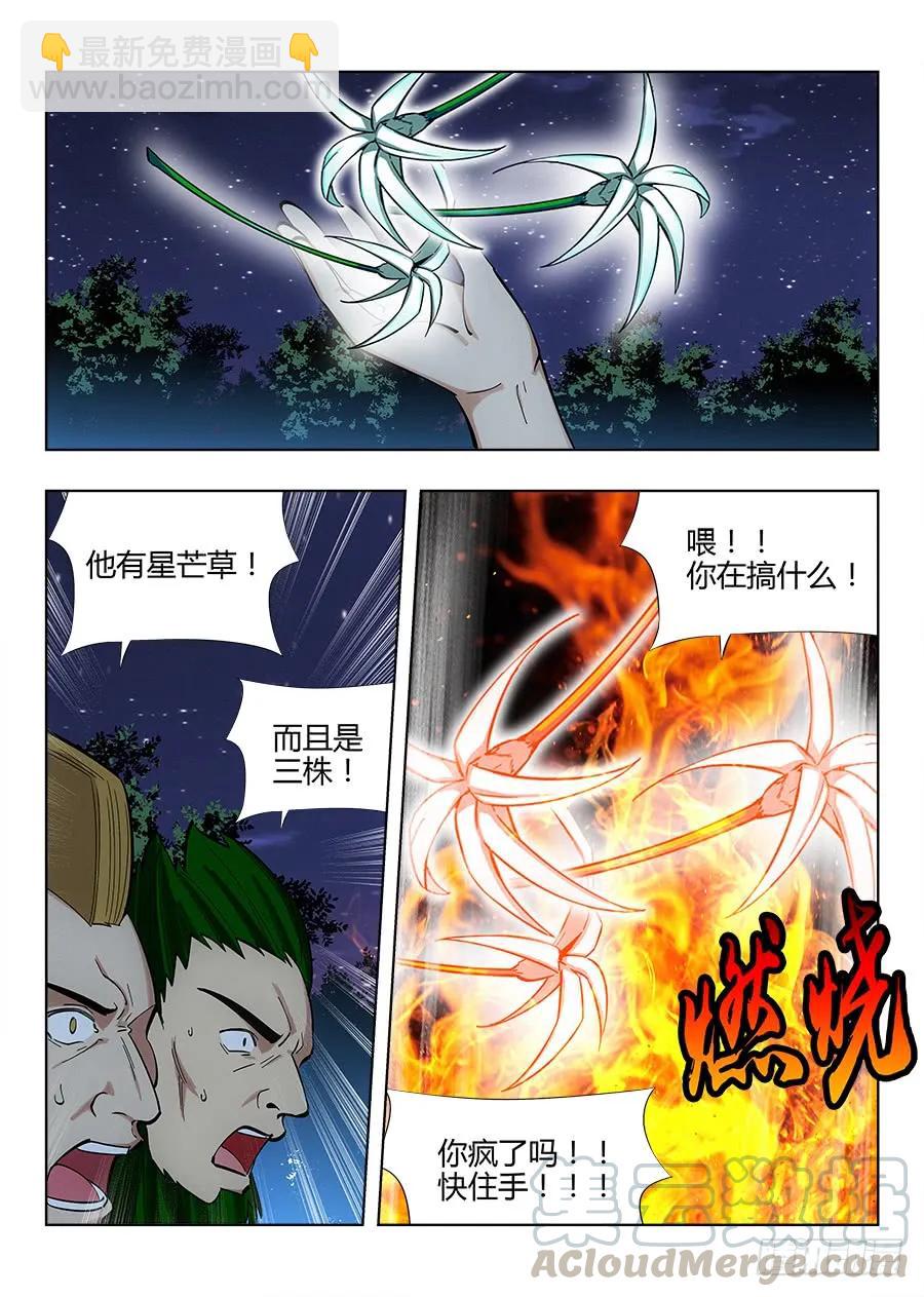 🍲最强反套路系统 049星芒草里真的有星芒吗？ 第16页