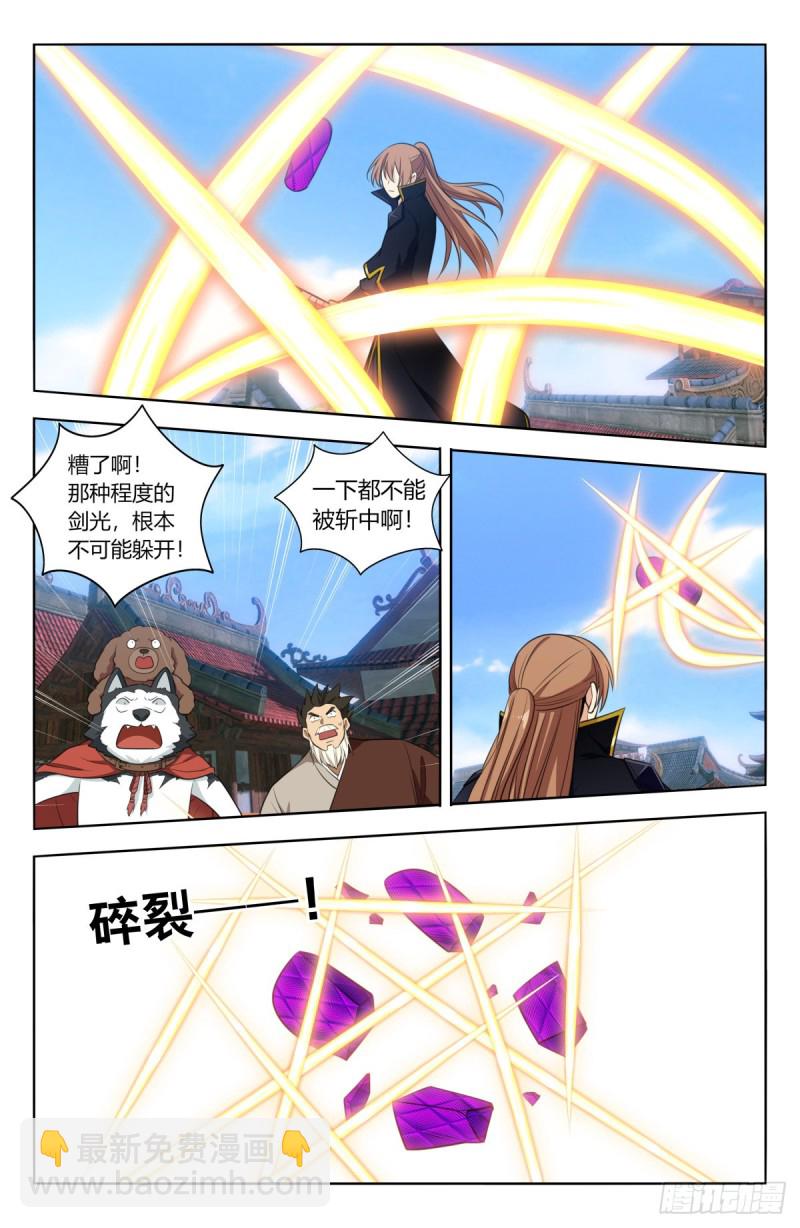 🍲最强反套路系统 511阴阳双剑 第9页