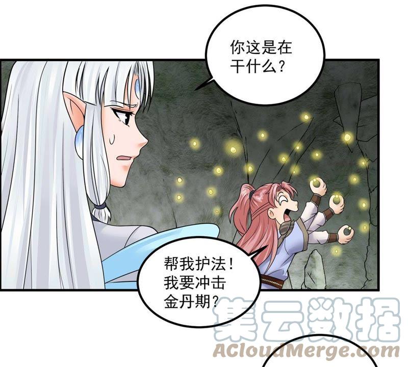 🍲最强光环系统 第69话 金丹！好多金丹！ 第17页