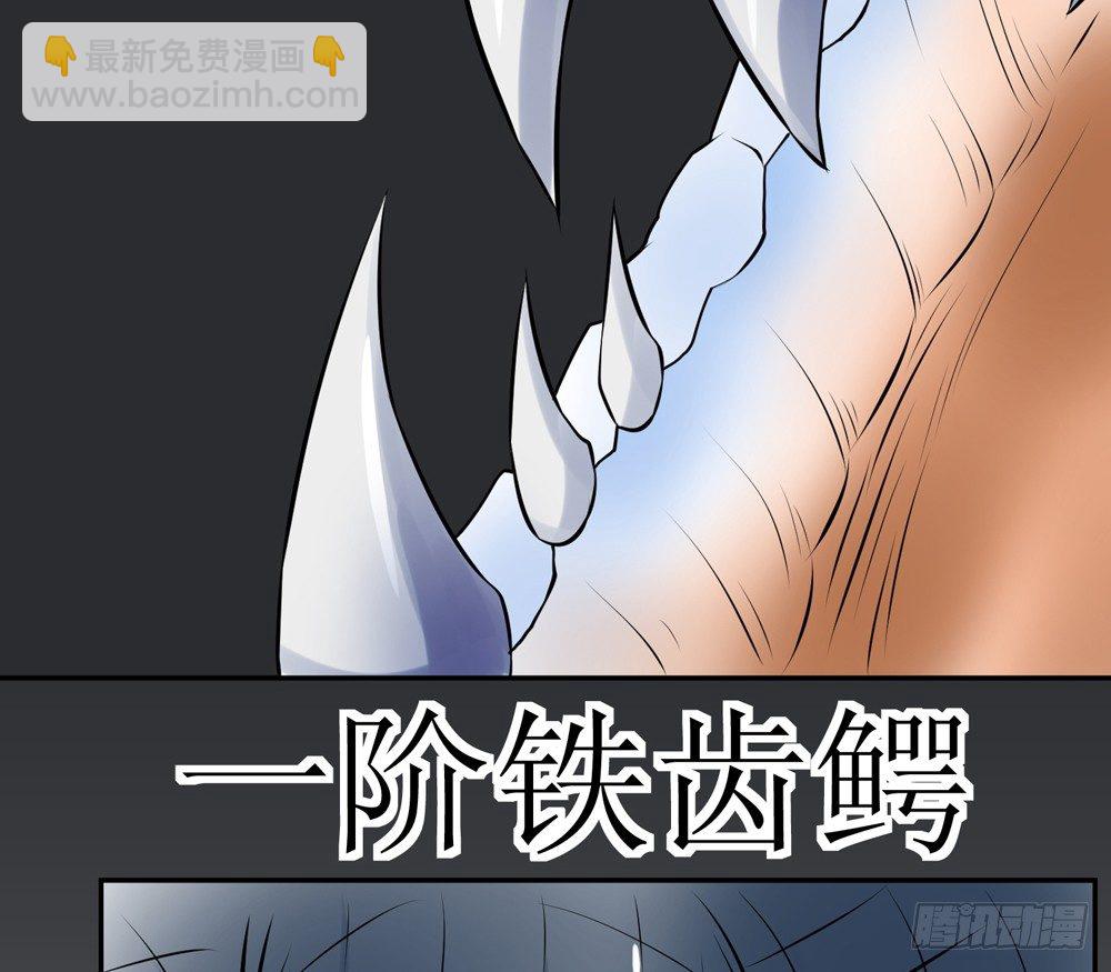 🍲最强神级系统 铁齿鳄 第18页