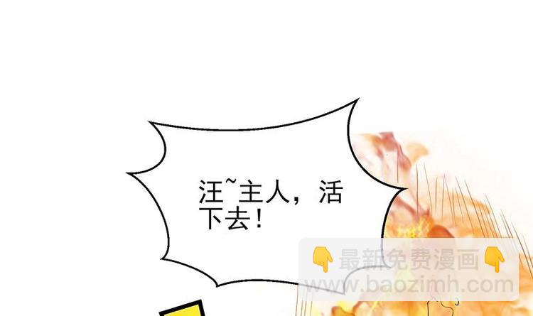 🍲最强神兽系统 第18话 以魂魄为代价 第37页