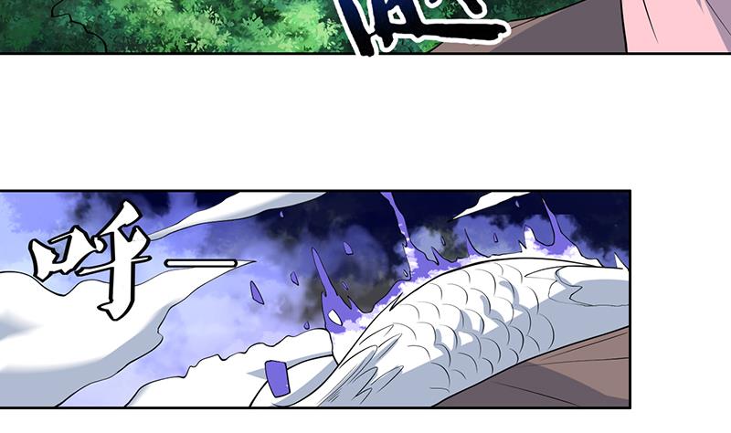 🍲最强神兽系统 第216话 破碎的元灵 第23页
