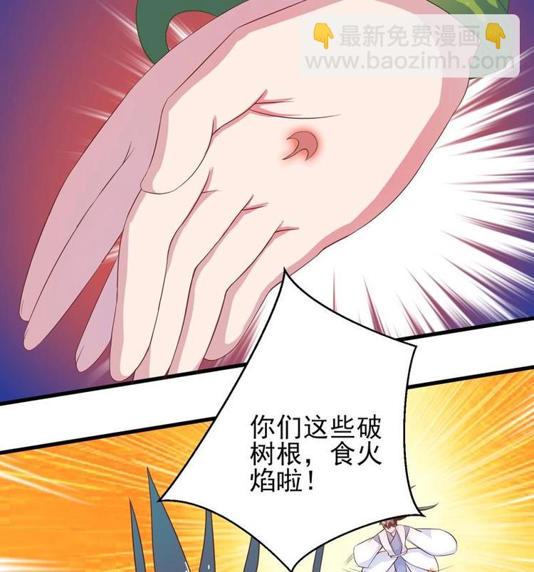 🍲最强神兽系统 第26话 黑豹出没 第14页