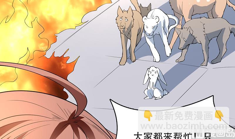🍲最强神兽系统 第254话 请问你后悔了吗？ 第15页
