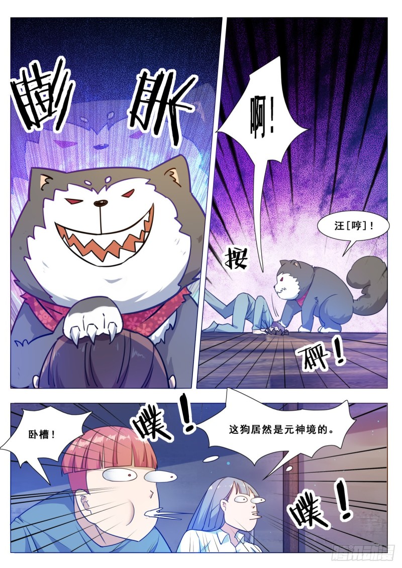 第115话 元神境的小哈-第116话