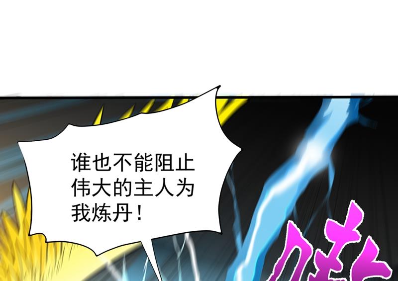 🍲最强神医混都市 红袖病入膏肓！？ 第1页