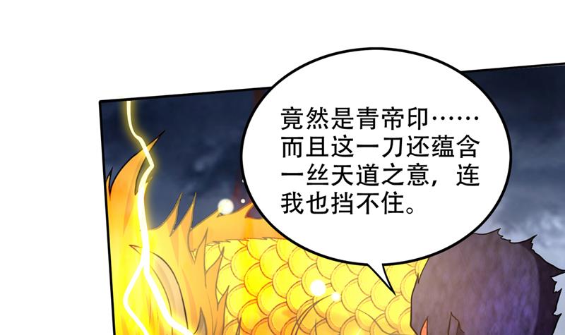 🍲最强神医混都市 一刀秒杀！ 第47页
