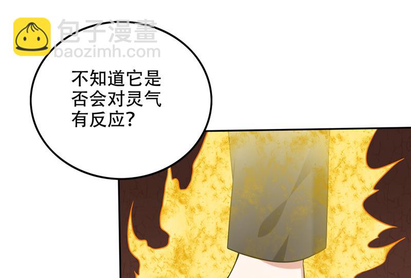 🍲最强神医混都市 神秘的道纹 第21页