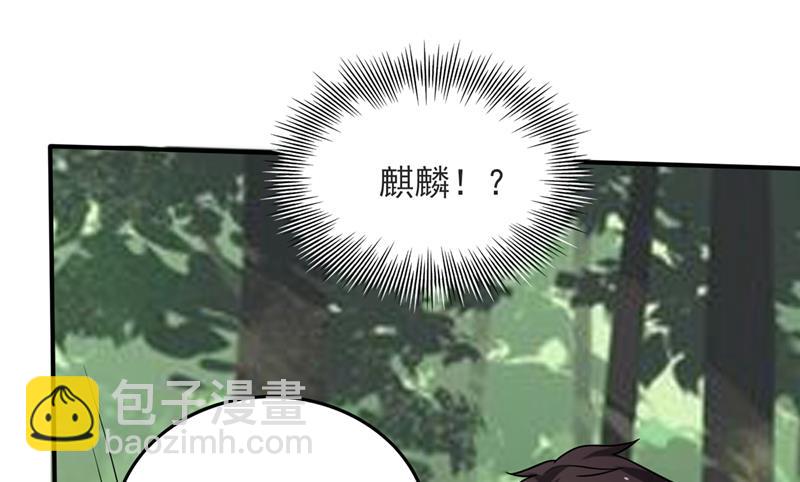 🍲最强神医混都市 被魂珠选中 第47页