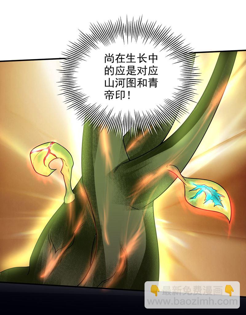 🍲最强神医混都市 前往域外 第12页