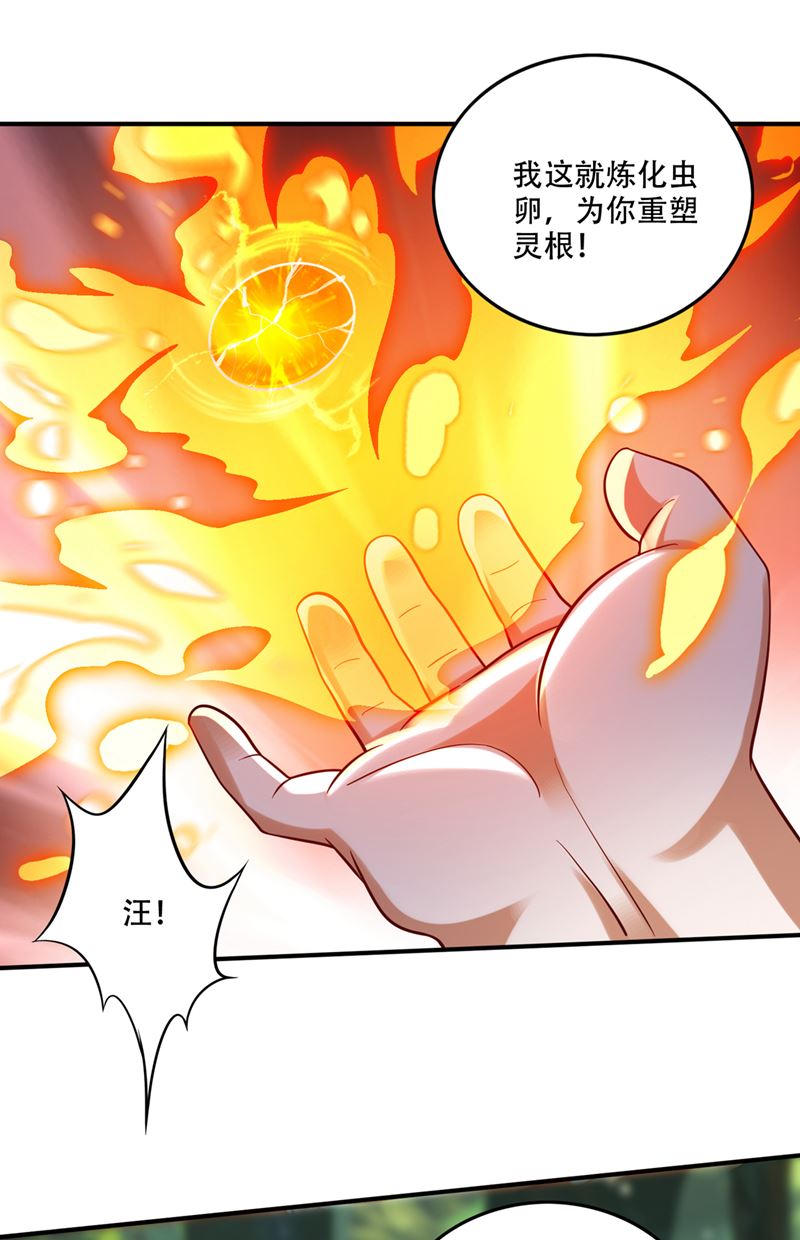 🍲最强神医混都市 取回灵根！ 第37页