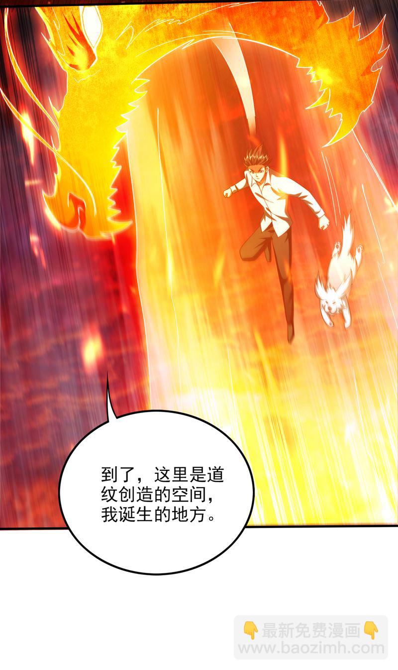 🍲最强神医混都市 你果然是炎帝的血脉 第5页