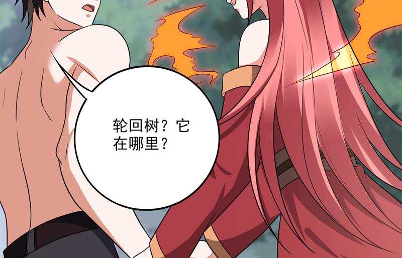 🍲最强神医混都市 进入须弥山结界 第19页