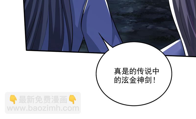 🍲最强神医混都市 这是泫金神剑 第47页