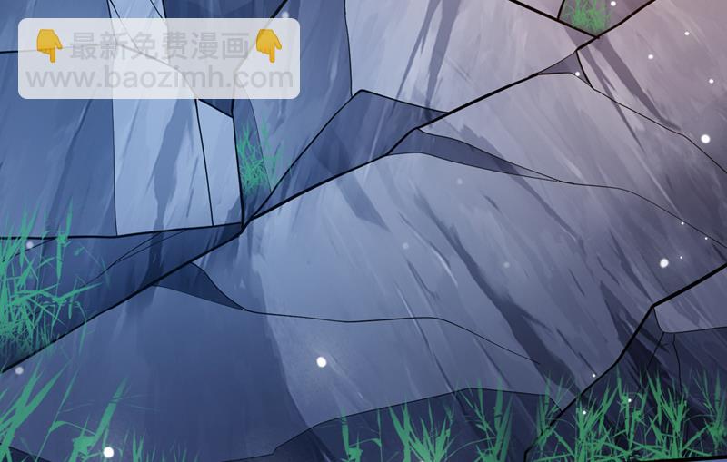 🍲最强神医混都市 请救救云裳 第14页