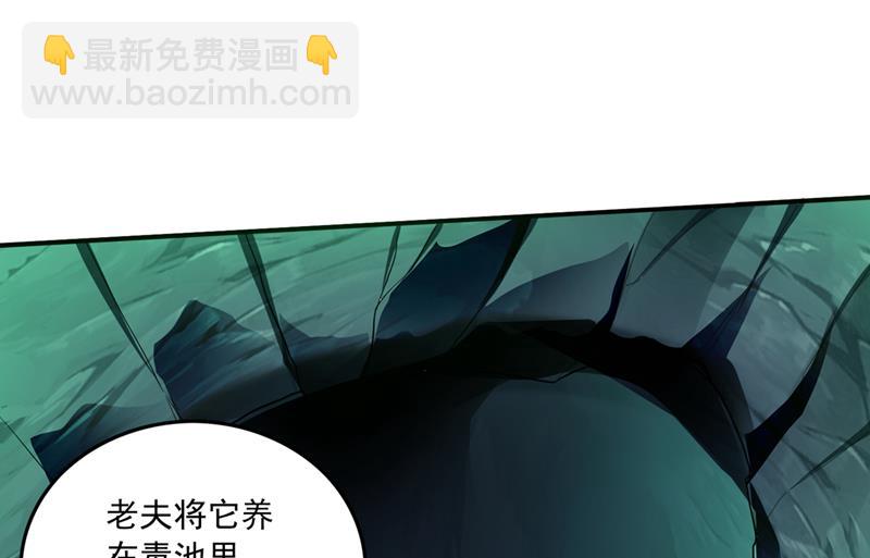 🍲最强神医混都市 我可没打算放过你 第47页