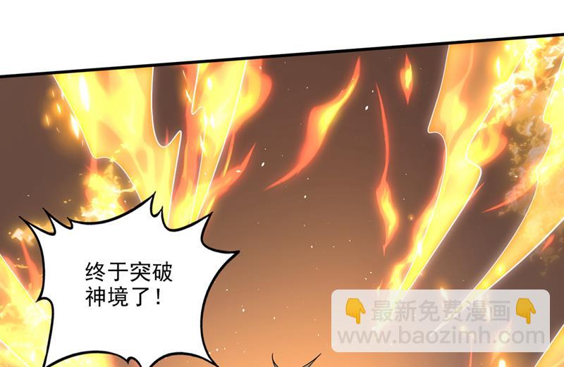🍲最强神医混都市 神格分身！ 第3页