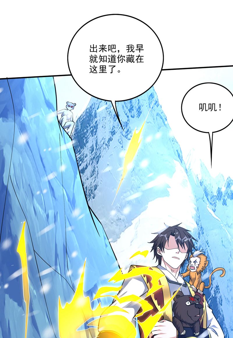 🍲最强神医混都市 星纹白熊一族 第1页