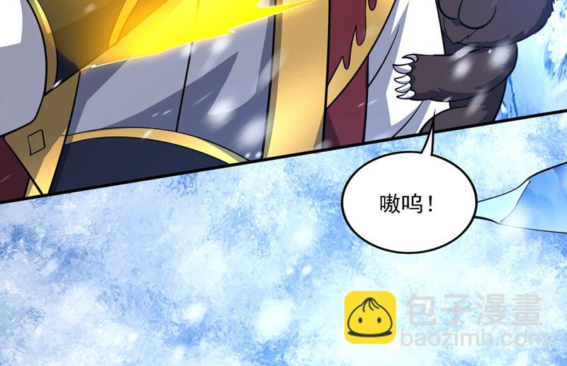 🍲最强神医混都市 星纹白熊一族 第12页
