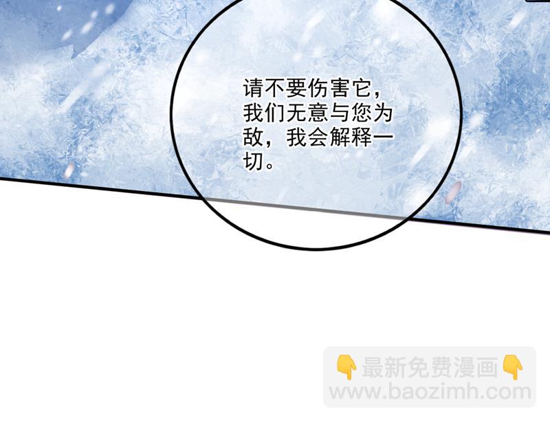 🍲最强神医混都市 星纹白熊一族 第15页