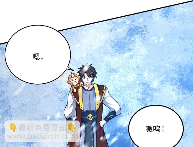 🍲最强神医混都市 星纹白熊一族 第24页