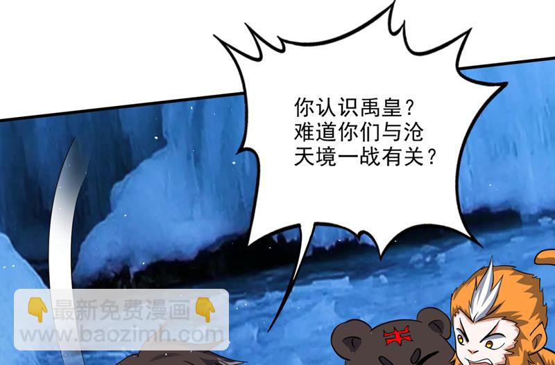 🍲最强神医混都市 星纹白熊一族 第39页