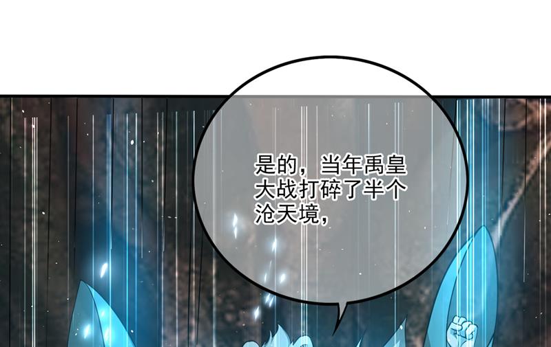 🍲最强神医混都市 星纹白熊一族 第42页