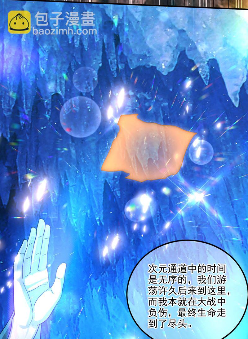 🍲最强神医混都市 星纹白熊一族 第45页