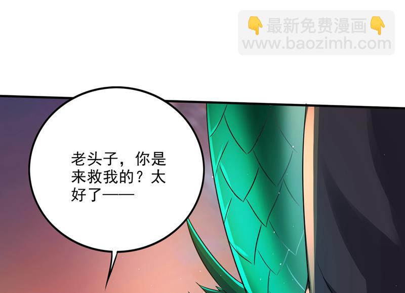 🍲最强神医混都市 救你只是个意外 第47页
