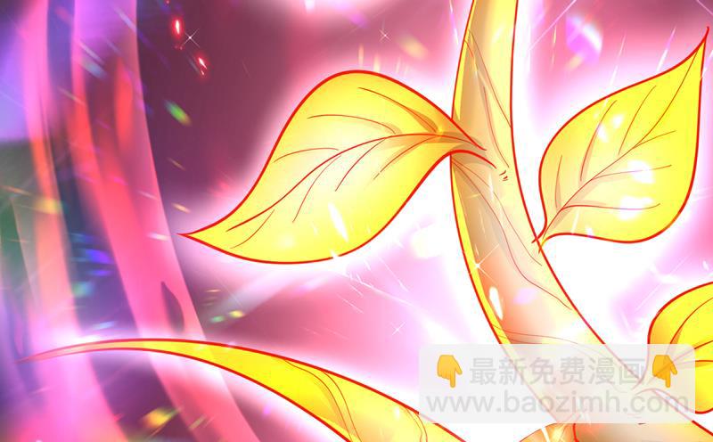 🍲最强神医混都市 吞噬血芒图 第19页