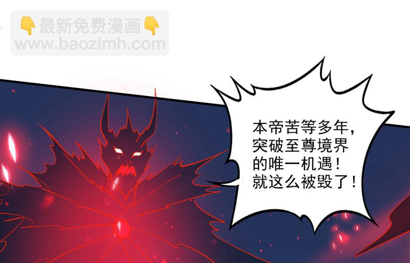🍲最强神医混都市 吞噬血芒图 第49页