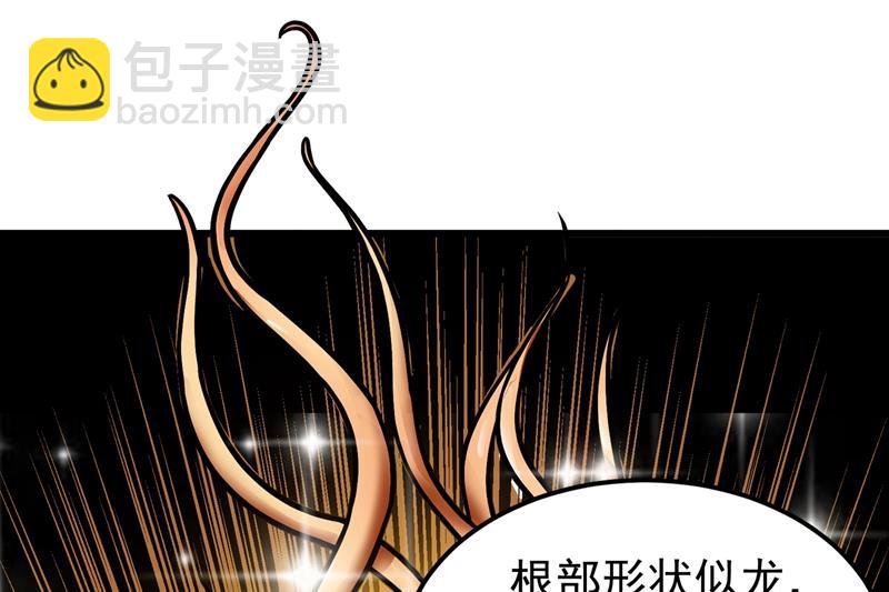 🍲最强神医混都市 鸿蒙离火，一剑斩龙！ 第6页