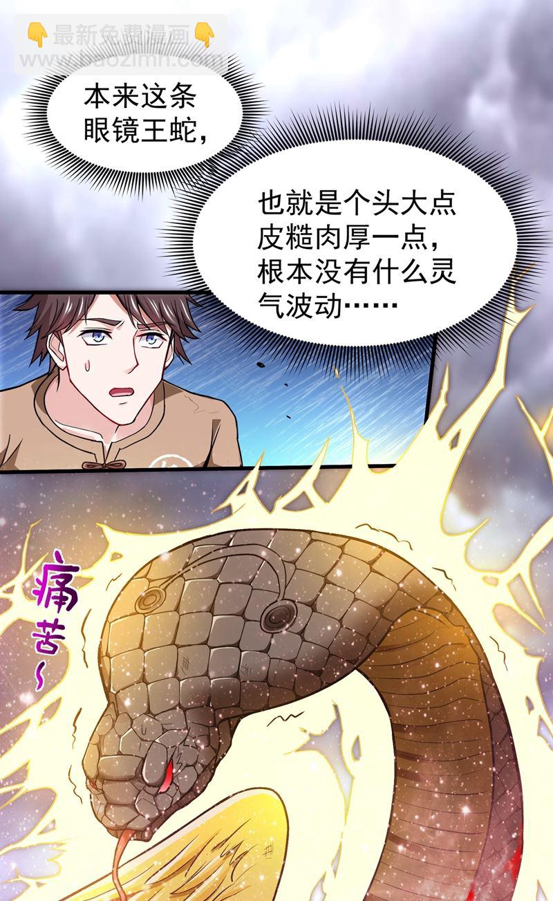🍲最强神医混都市 肋生双翅化腾蛇 第13页