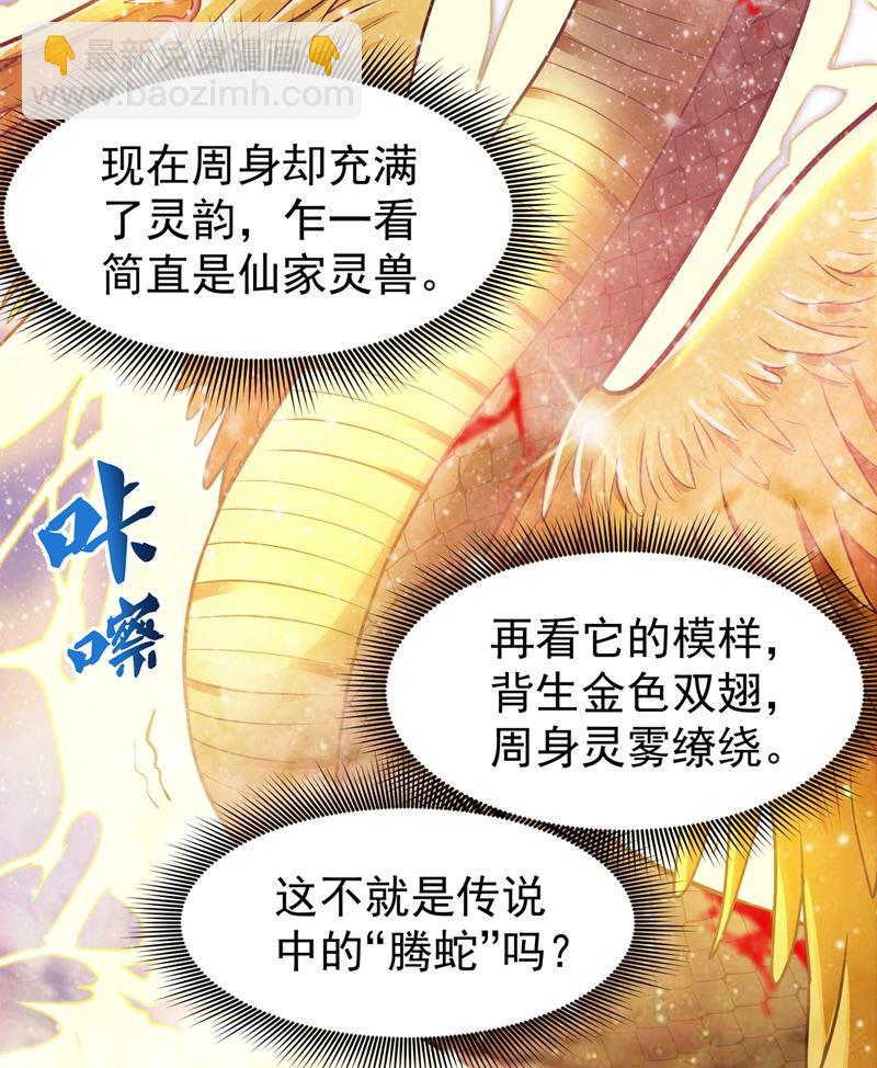 🍲最强神医混都市 肋生双翅化腾蛇 第14页