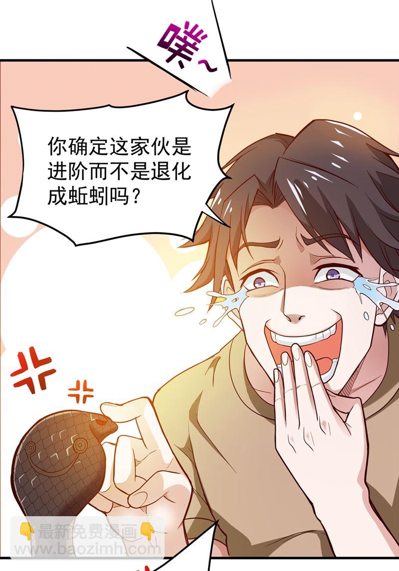 🍲最强神医混都市 肋生双翅化腾蛇 第47页