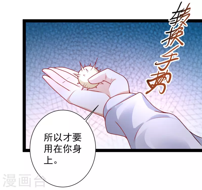 第259话 凭你也想动我？？？-第268话