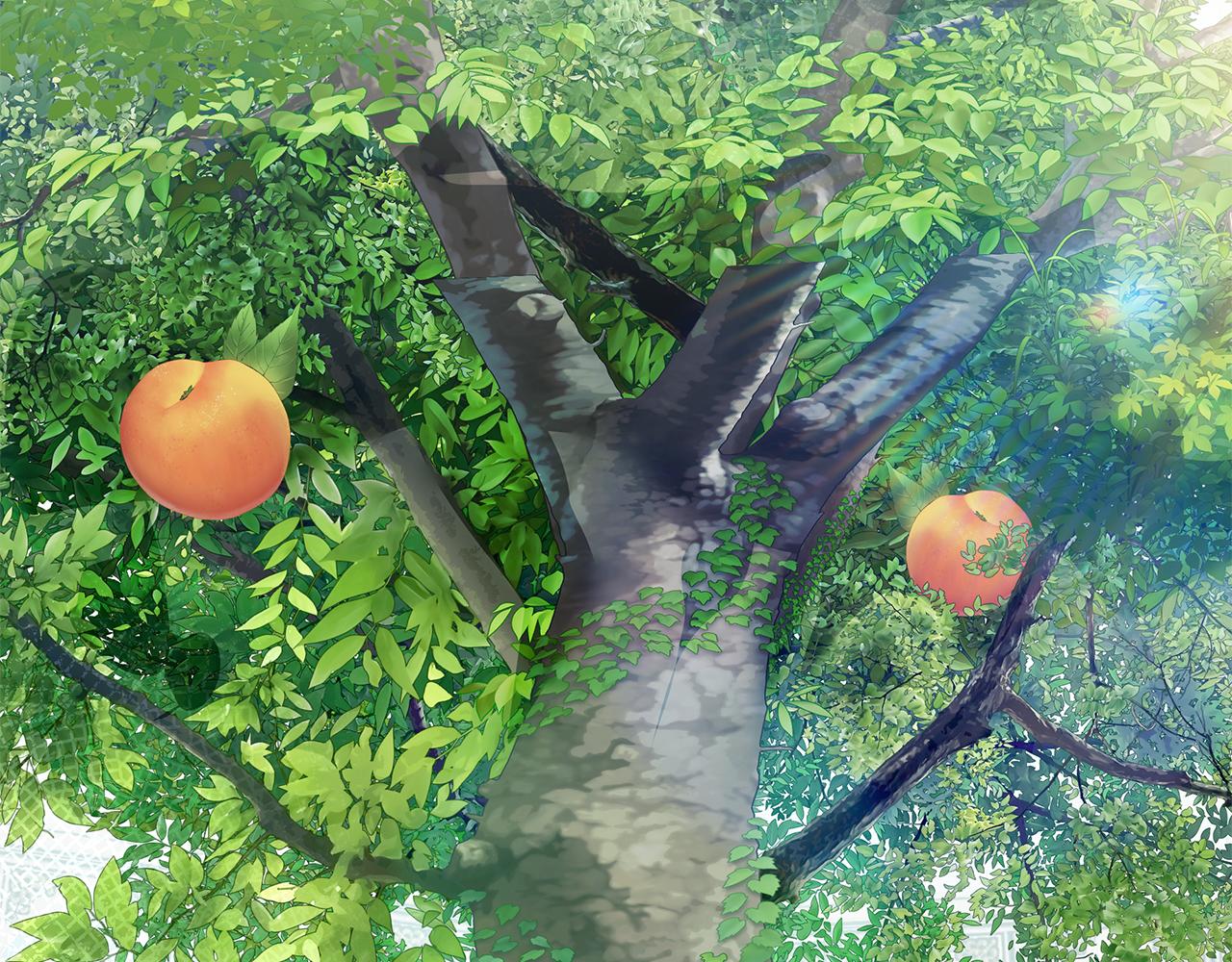 第49话 桃子换水晶(1/5)-第50话