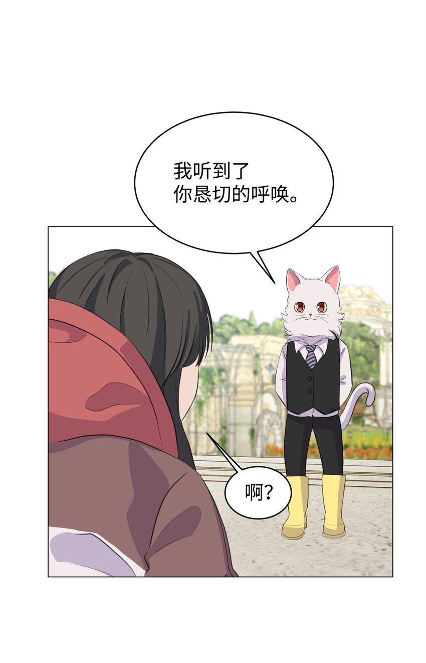 02 虐猫变态(1/2)-第2话
