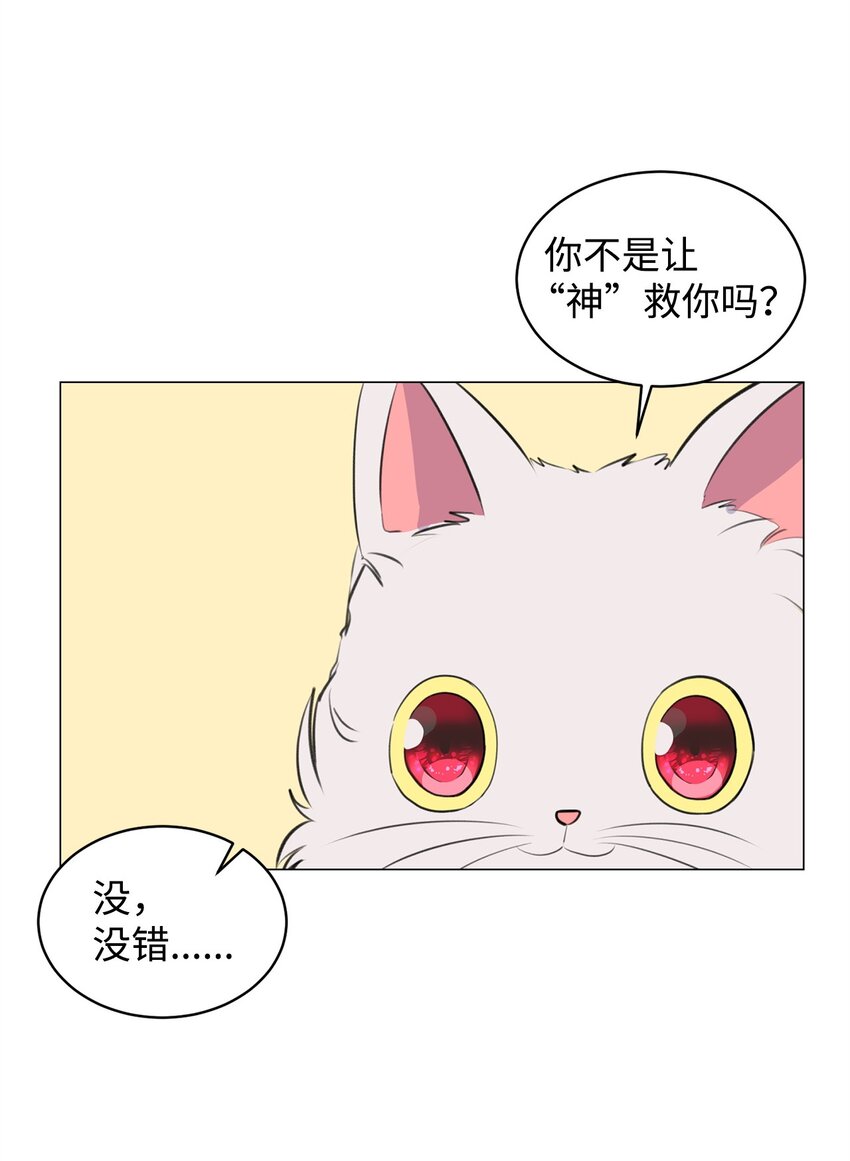 02 虐猫变态(1/2)-第2话