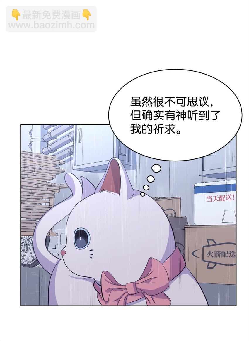 02 虐猫变态(1/2)-第2话